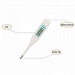 digital thermometer