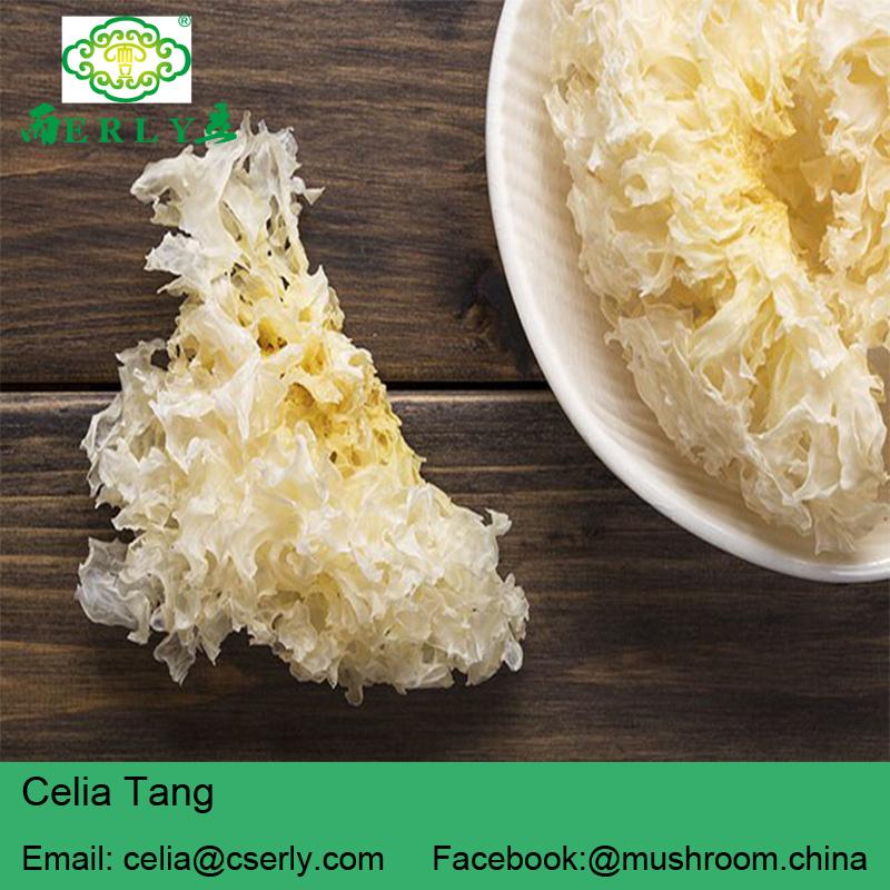 2018 Chinese Wholesale Price Organic Edible tremella mushroom 2