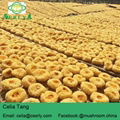 2018 Chinese Wholesale Price Organic Edible tremella mushroom 4