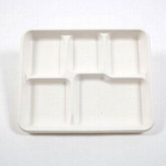 5- Compartment Disposable & Eco Friendly Food Plate