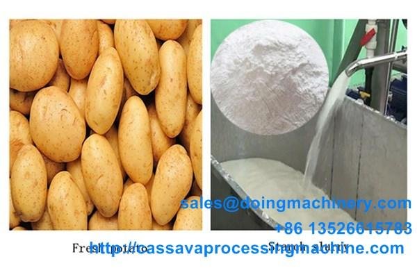 Cassava flour production process machine 3