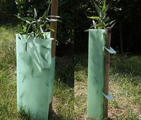 Tree Guard Shelter Protection-Defender in pp plastic material