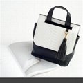 Fashion Bag-W61005 3