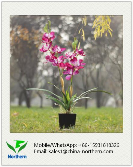 Modern Artificial Pink Orchid Arrangements