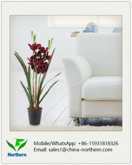 Silk Artificial Orchid for Home Decoration