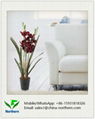 Silk Artificial Orchid for Home