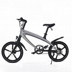 electric bicycle S1 36v 250w super version