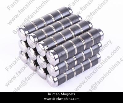 Rumen Magnets Iron-Plated 