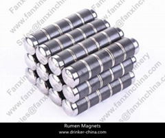 Rumen Magnets Iron-Plated 