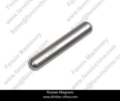 Rumen Magnets Iron-Plated  3