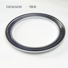 Rb/9rb Stainless Steel Rubber Dust Ring