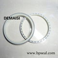 Dkbi Type Hydraulic Dust Wiper Seal