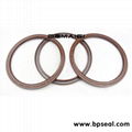 Cfw Babsl  Oil Seal for Hydraulic Motor