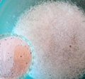 900g Detergent Biodegrdable Detergent Powder Laundry Powder 3