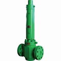 Safety Valve 1