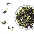 4039 Diedouhua 100% Natural Herbal Tea Butterfly Pea Tea 3