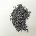 4135 Xun yi cao High Quality Lavender Flowers for Sale 2