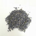 4135 Xun yi cao High Quality Lavender Flowers for Sale 4