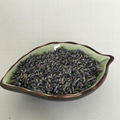 4135 Xun yi cao High Quality Lavender Flowers for Sale 5