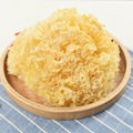 9005 Yiner Wholesale Dried White Tremella Mushroom 5