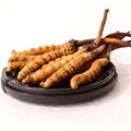 9006 Dongchongxiacao Competitive Price Top Grade herbs Cordyceps 2