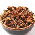 X004 Ba jiao Wholesale Spices and Herbs Competitive Price Aniseed Herbs 4