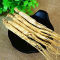 1005 Ren shen use for crude Chinese Medicine Ginseng for sale