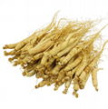 1005 Ren shen use for crude Chinese Medicine Ginseng for sale 5