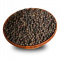 2105 Hei hu jiao High Quality Black Pepper Wholesale Price 5