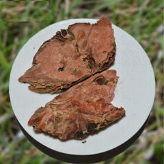 1061 Hong jing tian Natural Plant Dried Root Rhodiola Rosea Root