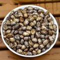 2095 Bi ma zi High Quality Castor Seeds for Making Oil 1