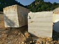 Vietnam Wood Vein Marble BLocks