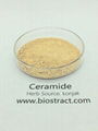 Ceramides