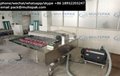 multepak automatic continuous conveyor belt vacuum packaging sealer  machine