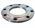 Titanium Ring Joint Flanges