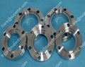 Titanium Ring Joint Flanges 3