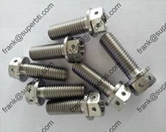 Titanium Bolt