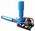 Roots Vacuum Pump 1