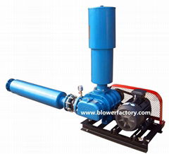 Roots Vacuum Pump