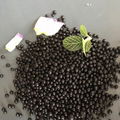 High quality amino acid fertilizer / humic acid shiny balls / organic fertilizer 3