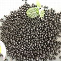 High quality amino acid fertilizer / humic acid shiny balls / organic fertilizer 5