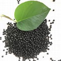 Humic acid fertilizer / amino acid fertilizer / soil conditioner 2