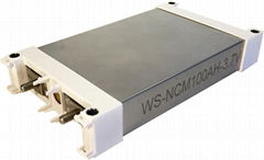 WS-NCM100AH-3.7V