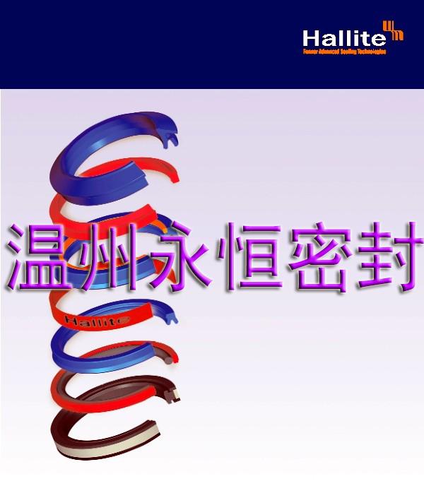 溫州供應優質液壓油封Y型圈聚氨酯油封UN 5