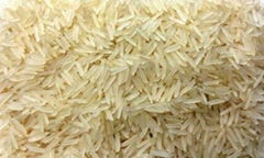 Basmati Rice