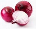 Red Onion