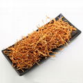 Organic pure dried Cordyceps flower