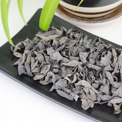 Wild natural Black fungus