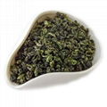 High Quality Gunpower Green Tea 1