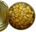 Canned Vegetable Canned Sweet Corn Kernels 5